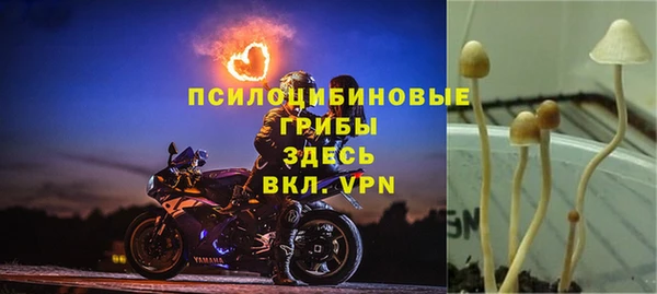 не бодяженный Краснослободск