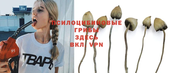 не бодяженный Краснослободск