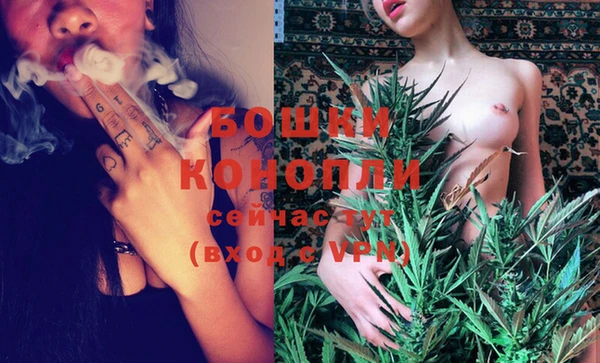 a pvp Коряжма